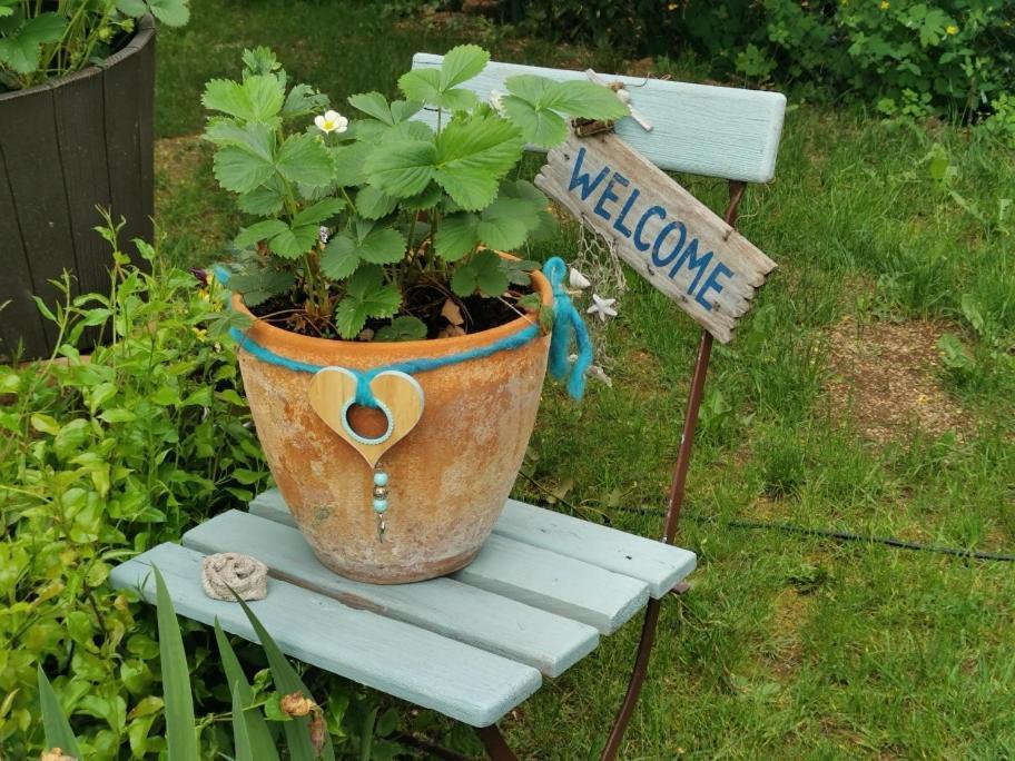 Ferienwohnung Harzer Auszeit Hattorf am Harz Exterior foto