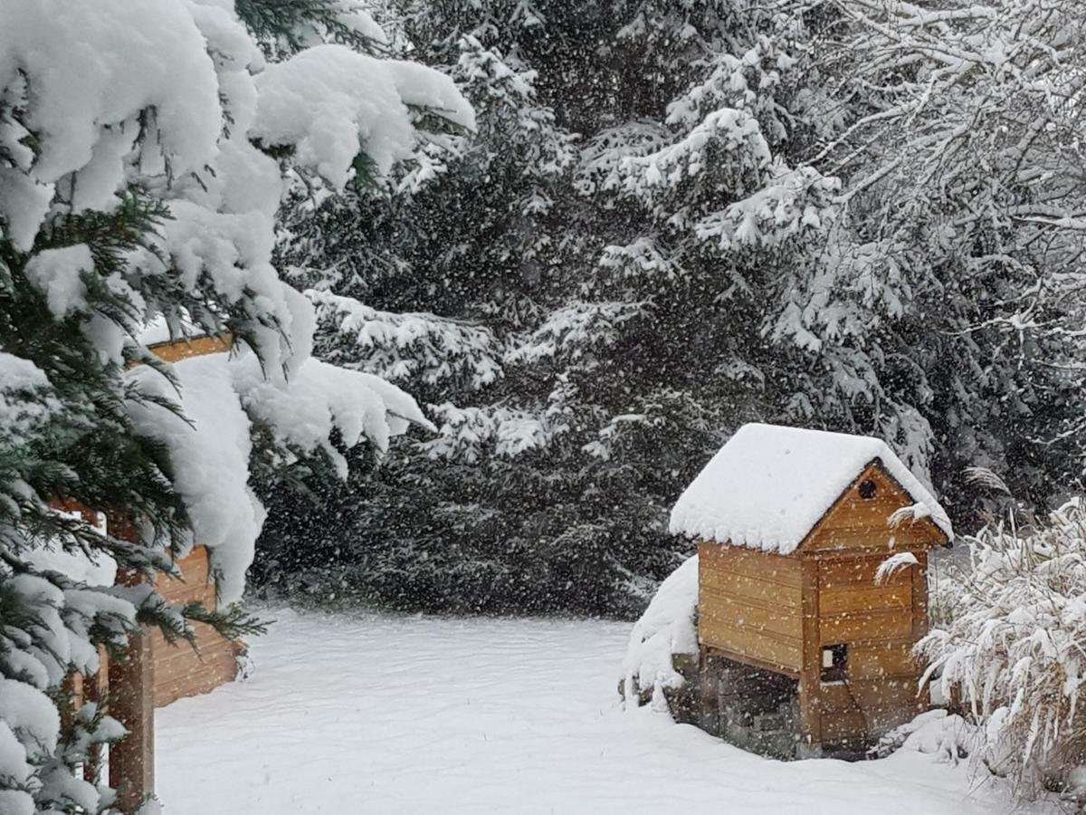 Ferienwohnung Harzer Auszeit Hattorf am Harz Exterior foto